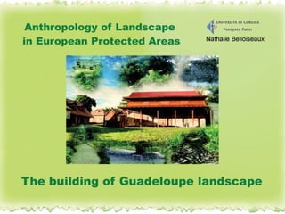 Building of landscape_-_guadeloupe