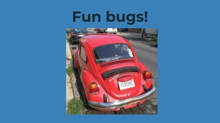 Fun bugs!
 