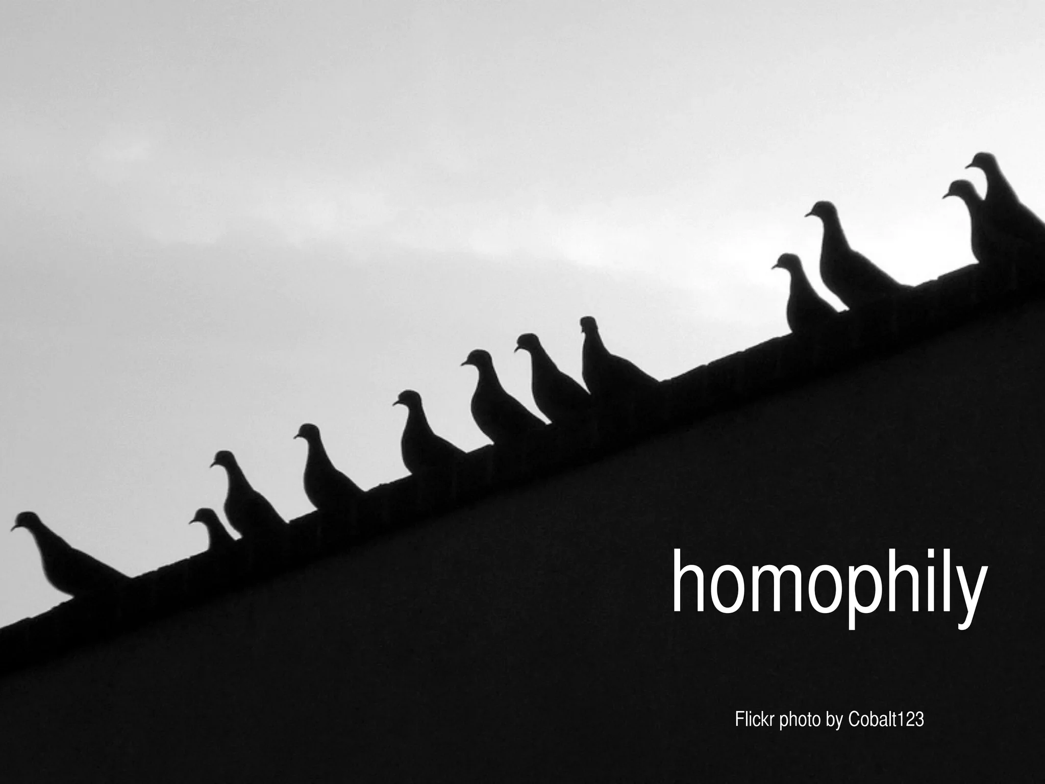 homophily
!
!
Flickr photo by Cobalt123