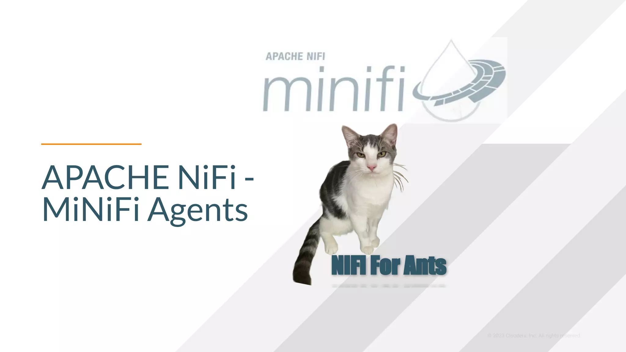 © 2023 Cloudera, Inc. All rights reserved.
APACHE NiFi -
MiNiFi Agents
NiFi For Ants
 