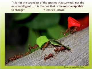 “It	
  is	
  not	
  the	
  strongest	
  of	
  the	
  species	
  that	
  survives,	
  nor	
  the	
  
most	
  intelligent	
 ...