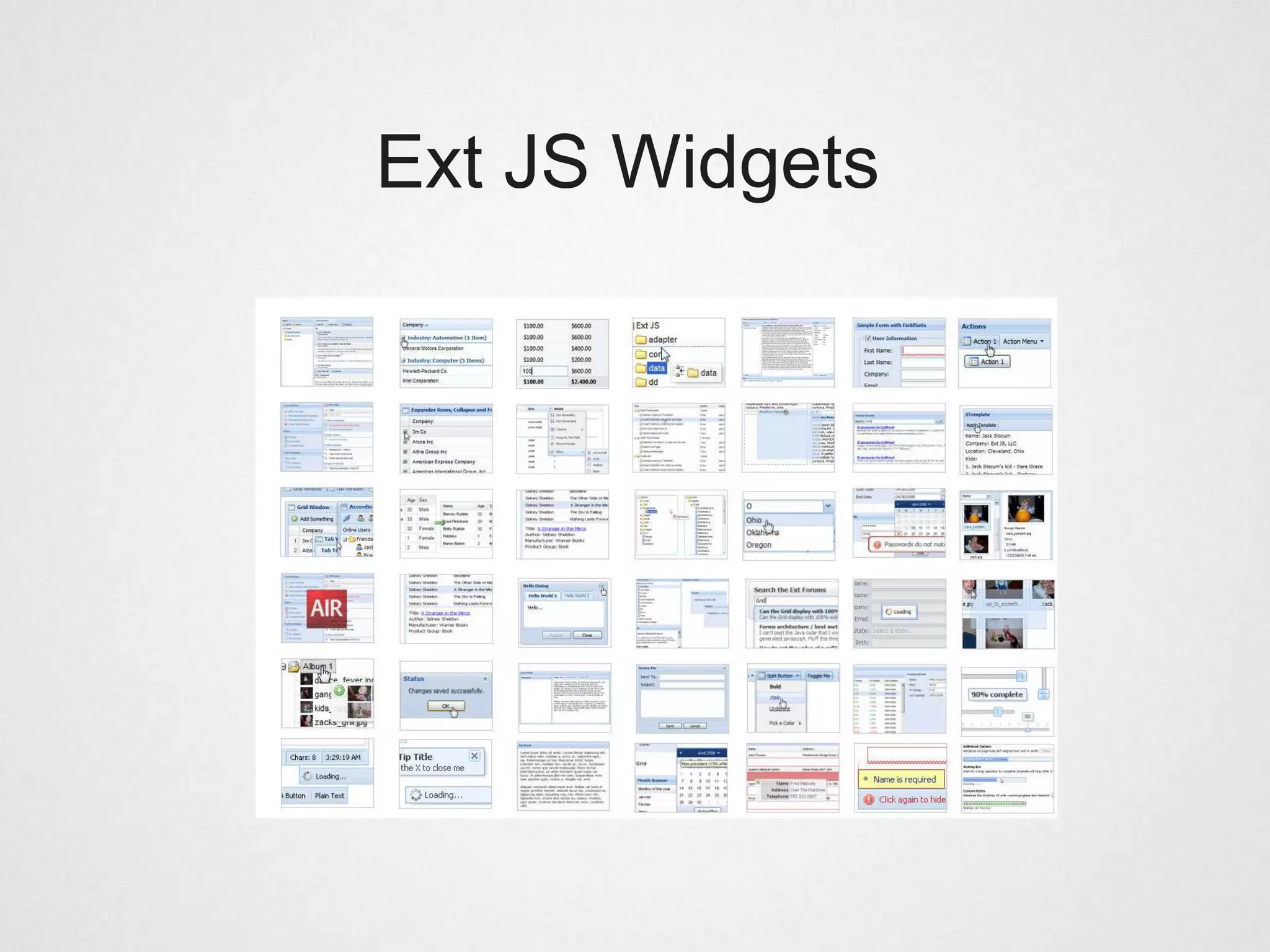 Ext JS Widgets
 