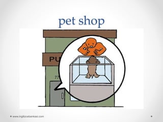 pet shop
www.ingilizcebankasi.com
 