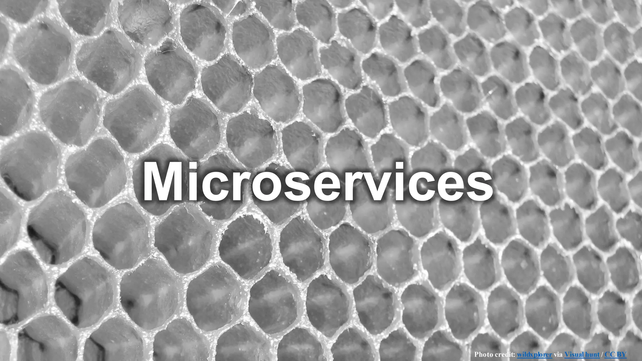 Microservices
Photo credit: wildxplorer via Visual hunt / CC BY
 