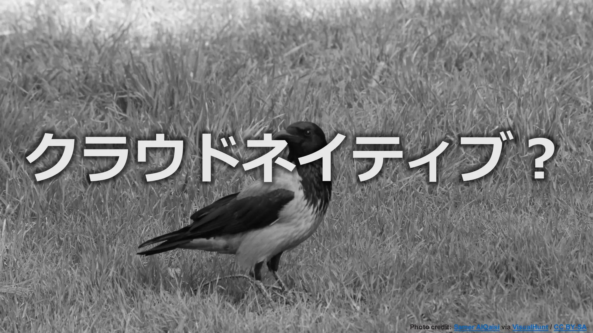 クラウドネイティブ？
Photo credit: Samer AlQaisi via VisualHunt / CC BY-SA
 