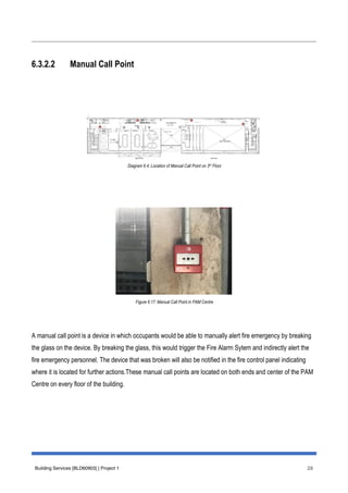 Report PDF