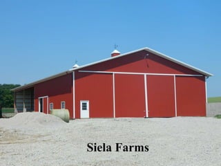 Siela Farms
 