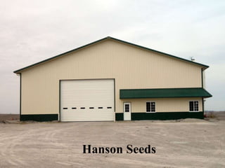 Hanson Seeds
 