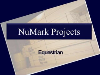 NuMark Projects
Equestrian
 