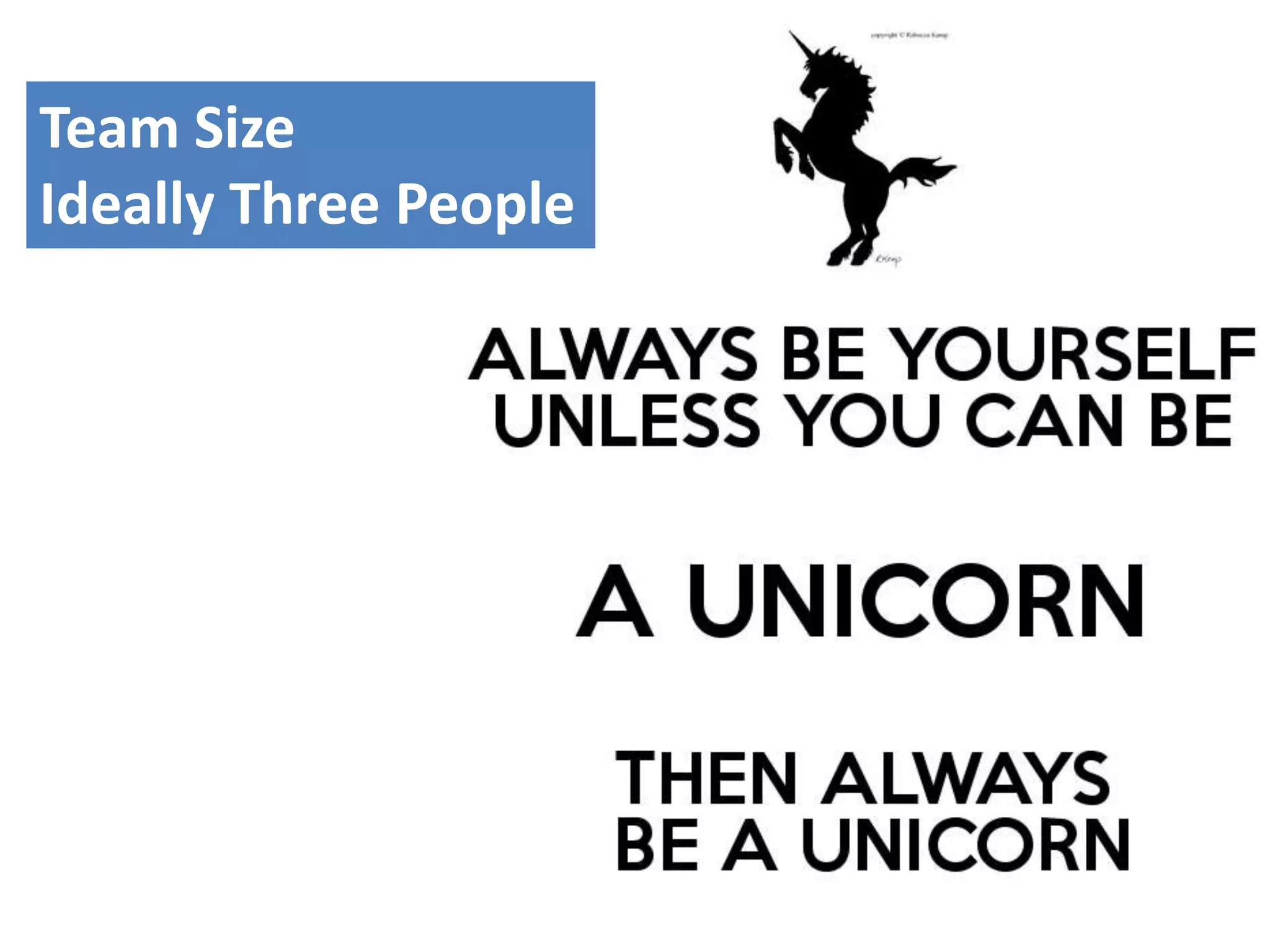 Ideal Team SizeTeam Size
Ideally Three People
 