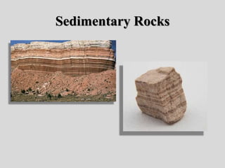 Sedimentary Rocks
 