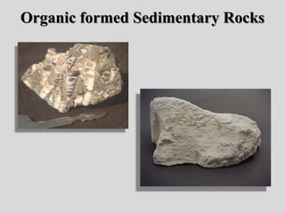 Organic formed Sedimentary Rocks
 