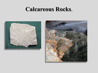 Calcareous Rocks.
 