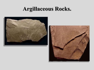 Argillaceous Rocks.
 