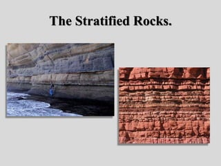 The Stratified Rocks.
 