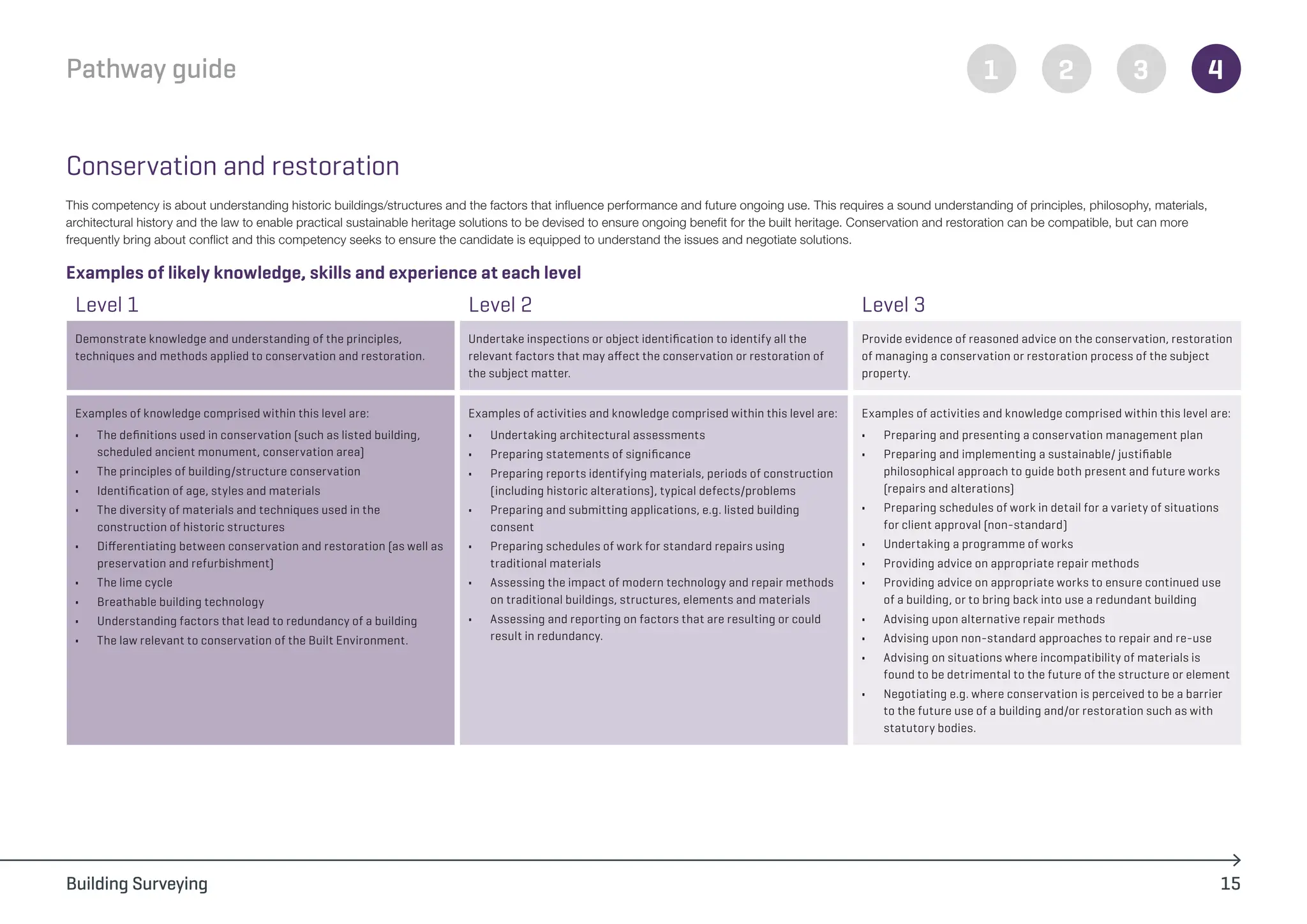 building_surveying_pathway_guide_chartered_rics (1).pdf