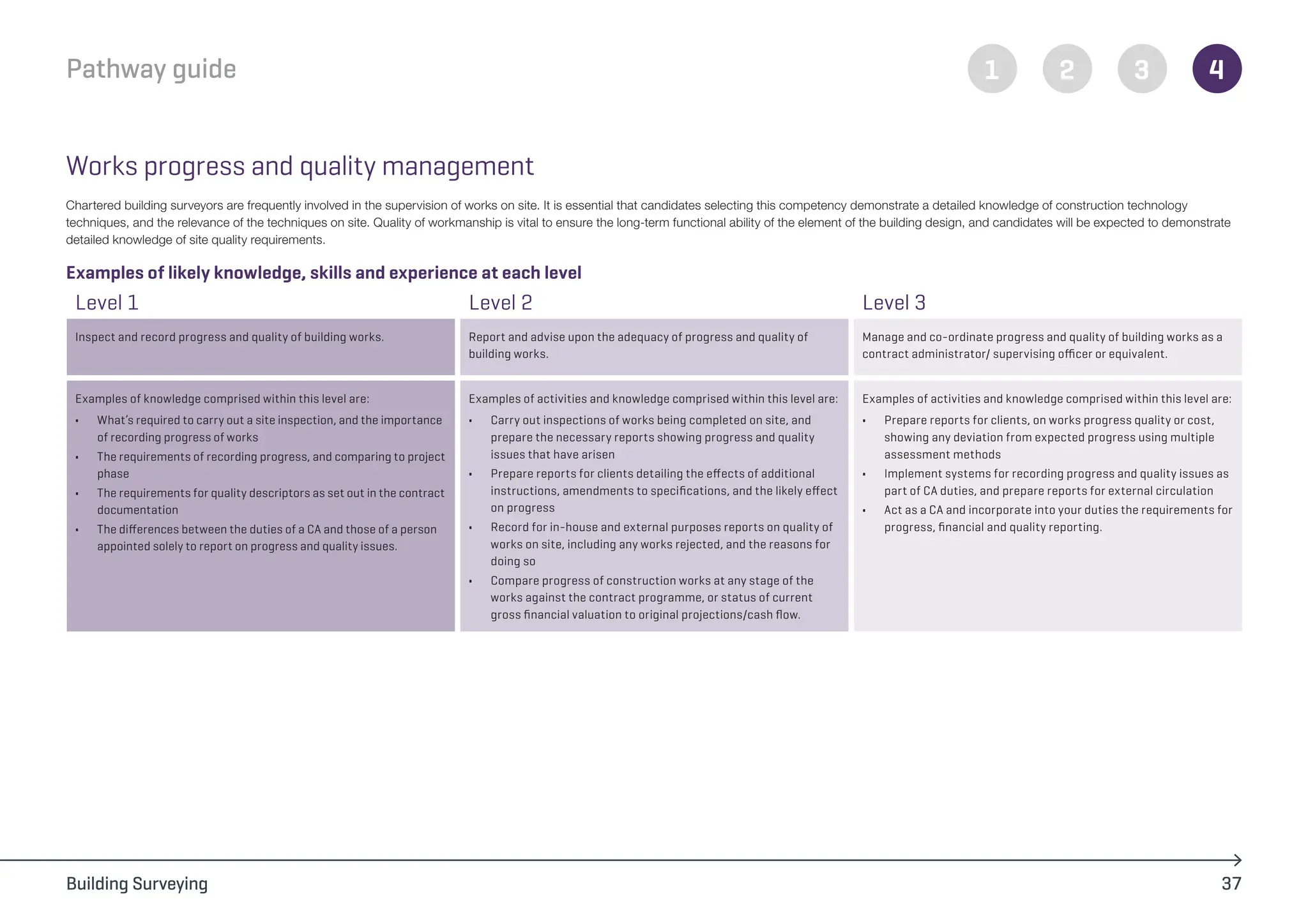 building_surveying_pathway_guide_chartered_rics (1).pdf