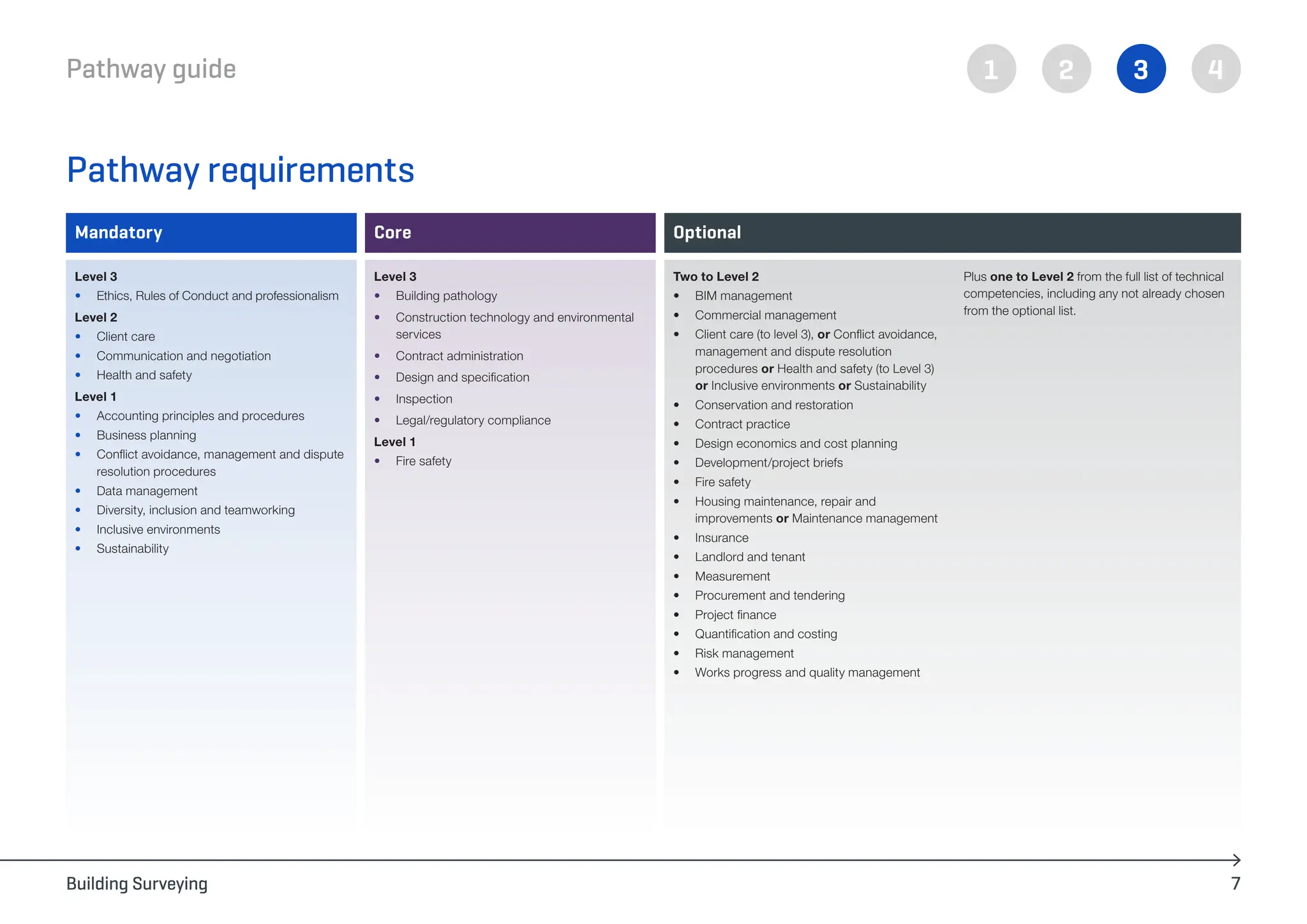 building_surveying_pathway_guide_chartered_rics (1).pdf