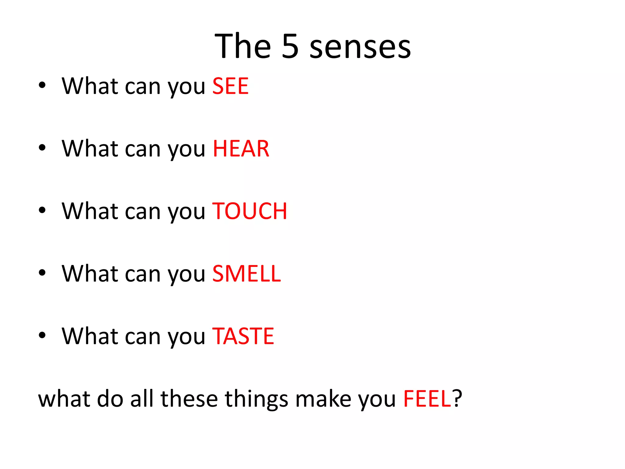 The 5 sensesWhat can you SEEWhat can you HEARWhat can you TOUCHWhat can you SMELLWhat can you TASTEwhat do all these things make you FEEL?