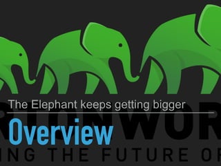 Overview
The Elephant keeps getting bigger
 