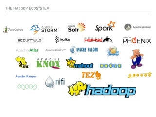 THE HADOOP ECOSYSTEM
 