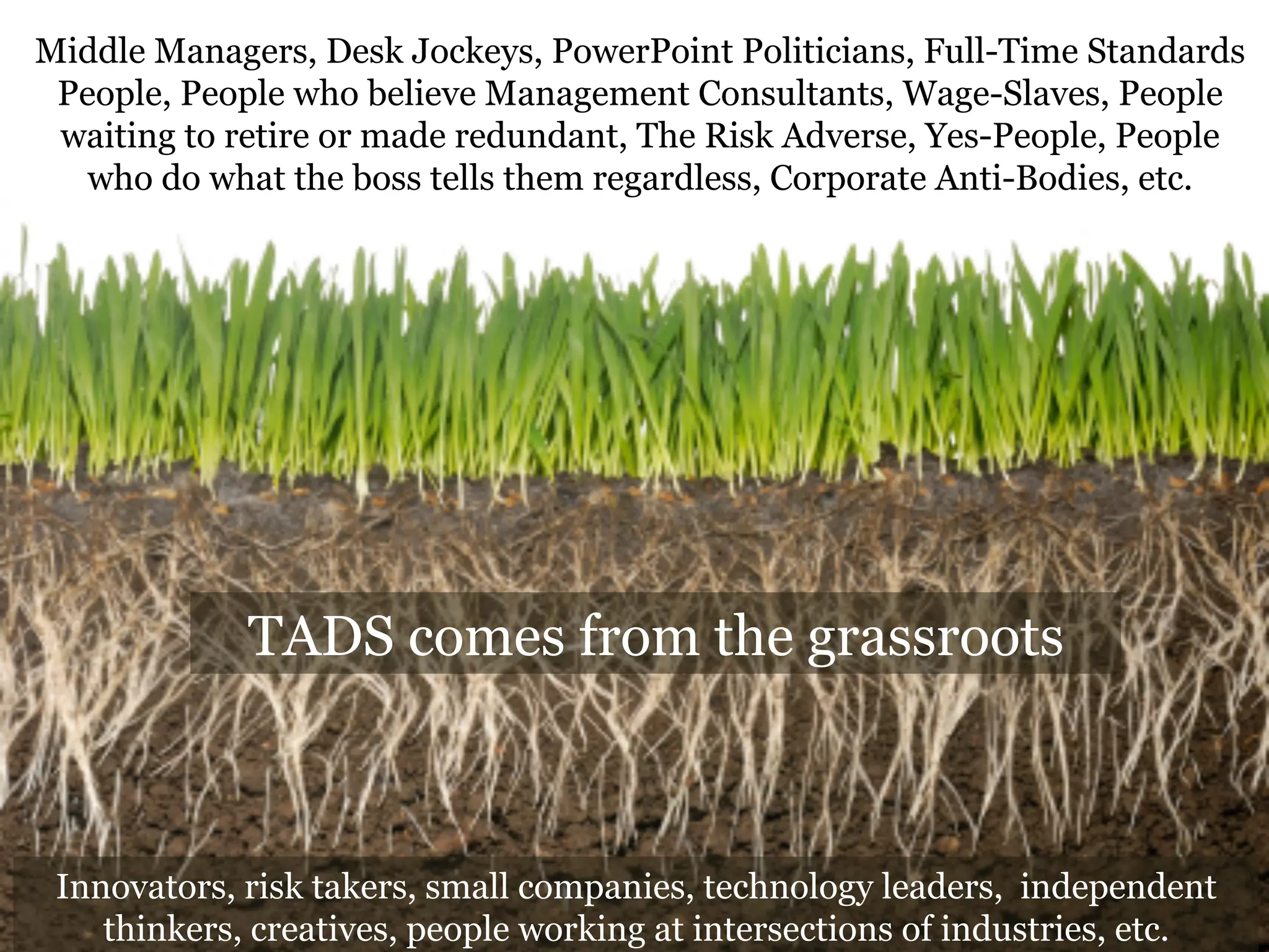 Middle Managers, Desk Jockeys, PowerPoint Politicians, Full-Time Standards 
People, People who believe Management Consultants, Wage-Slaves, People 
waiting to retire or made redundant, The Risk Adverse, Yes-People, People 
who do what the boss tells them regardless, Corporate Anti-Bodies, etc. 
TADS comes from the grassroots 
Innovators, risk takers, small companies, technology leaders, independent 
thinkers, creatives, people working at intersections of industries, etc. 
 