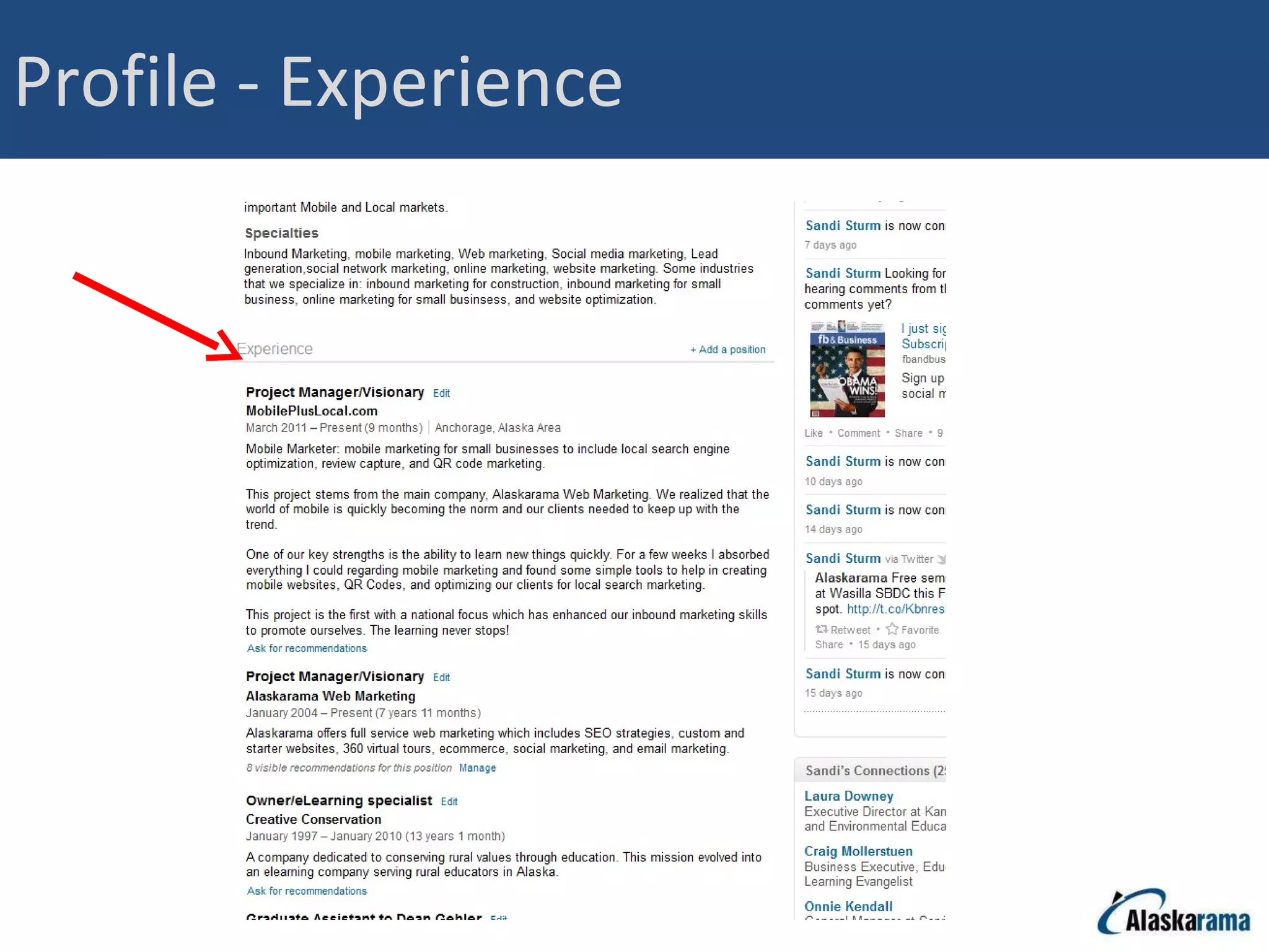 Profile - Experience 