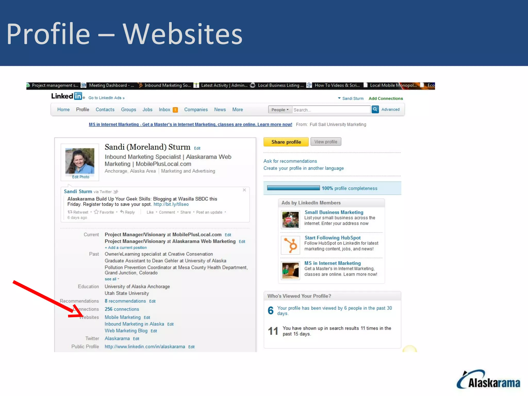 Profile – Websites 