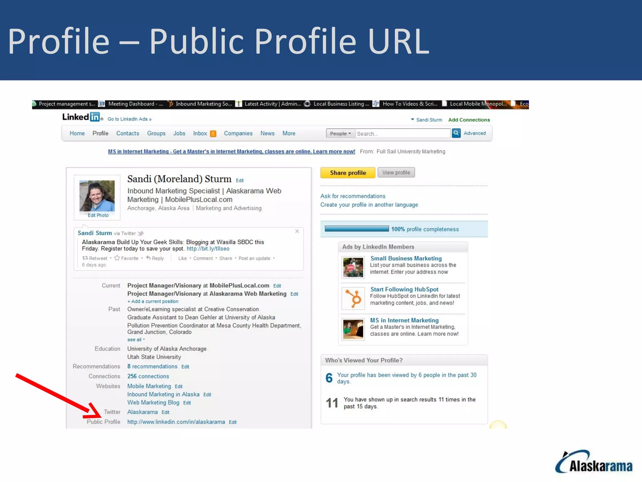 Profile – Public Profile URL 