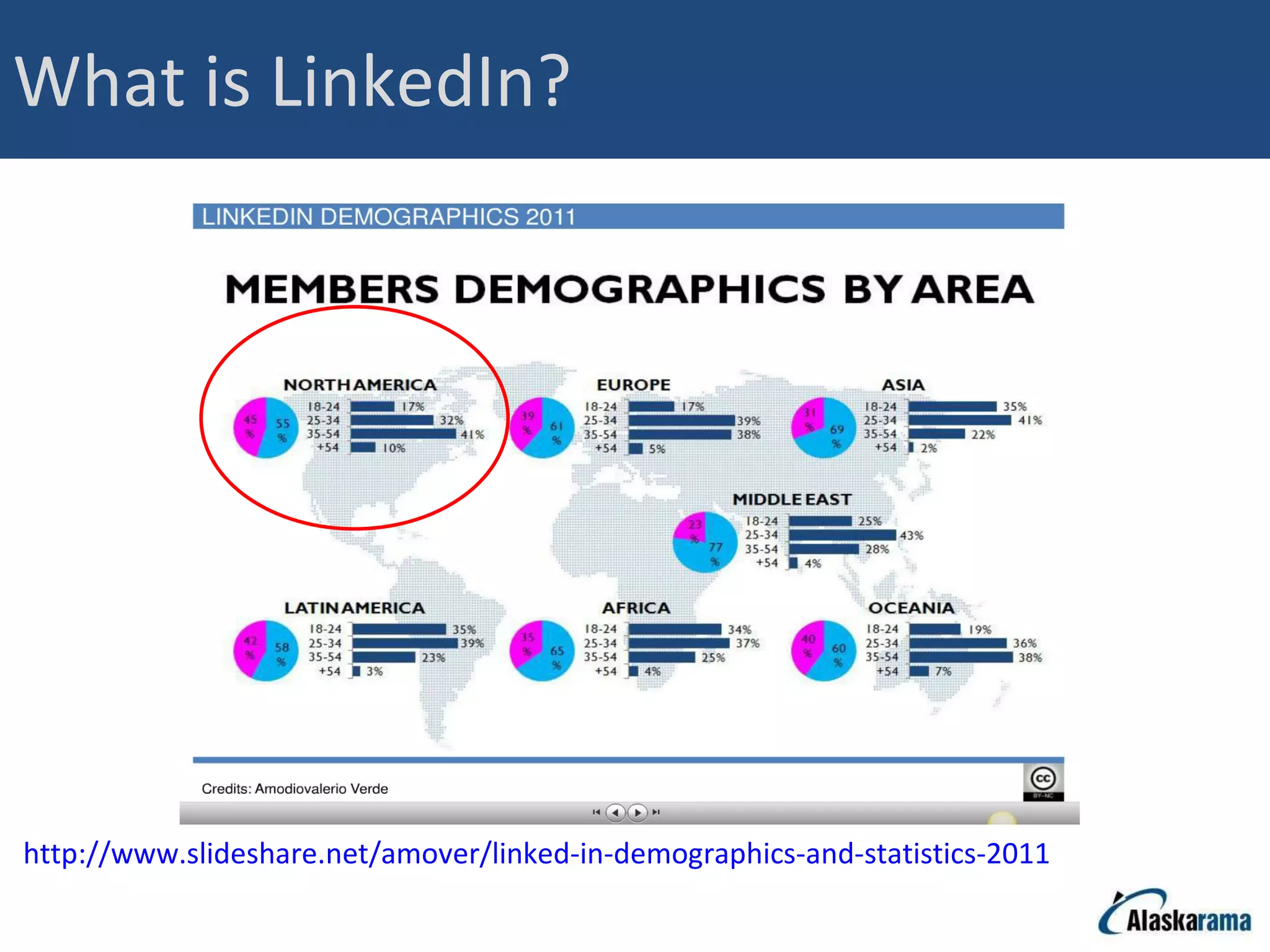 What is LinkedIn? http://www.slideshare.net/amover/linked-in-demographics-and-statistics-2011   