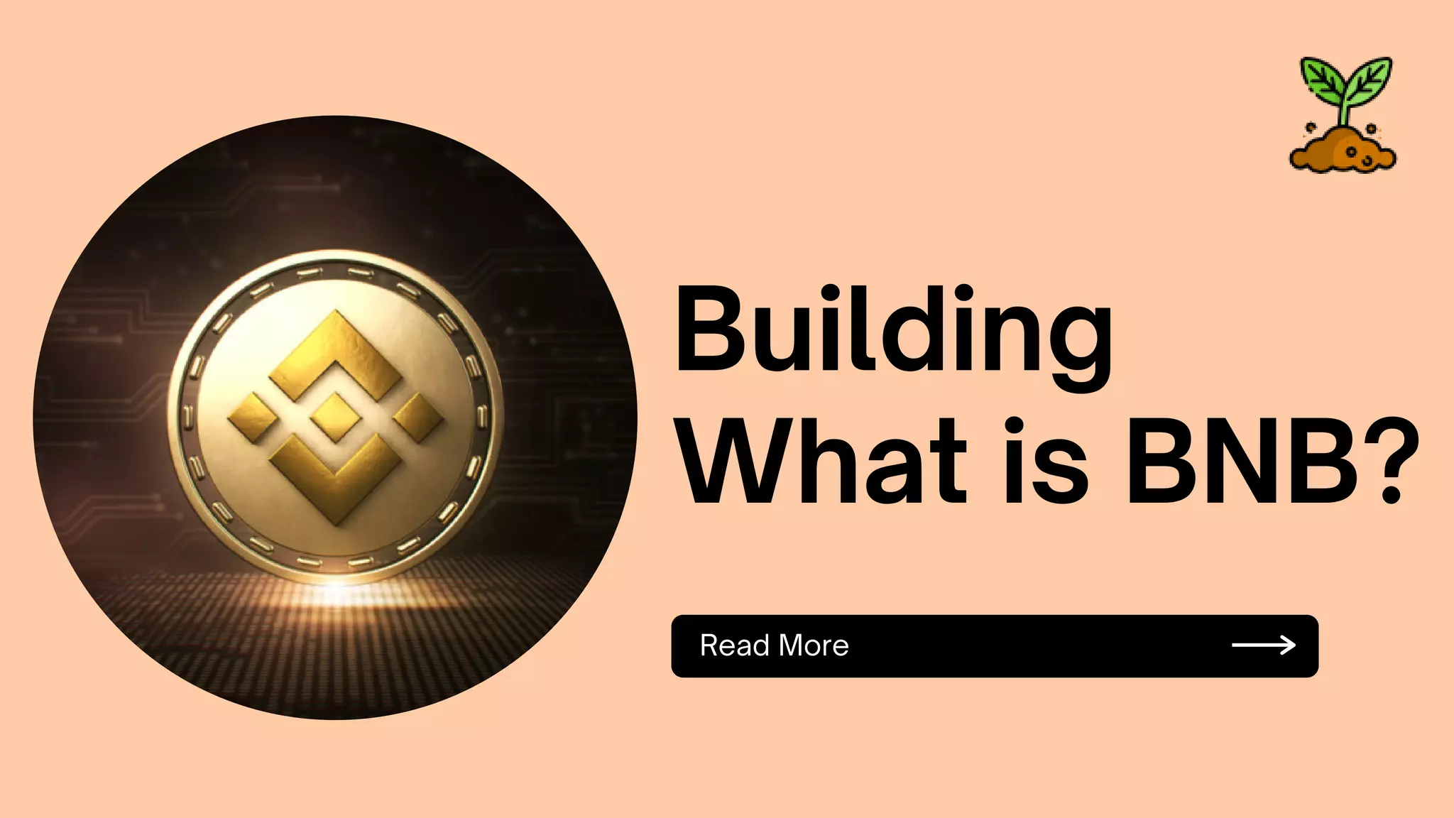 What is BNB? | PDF
