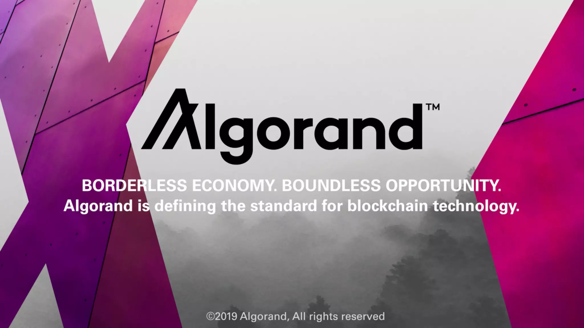 Building with Algorand 2.0, everything you need to know | PPT