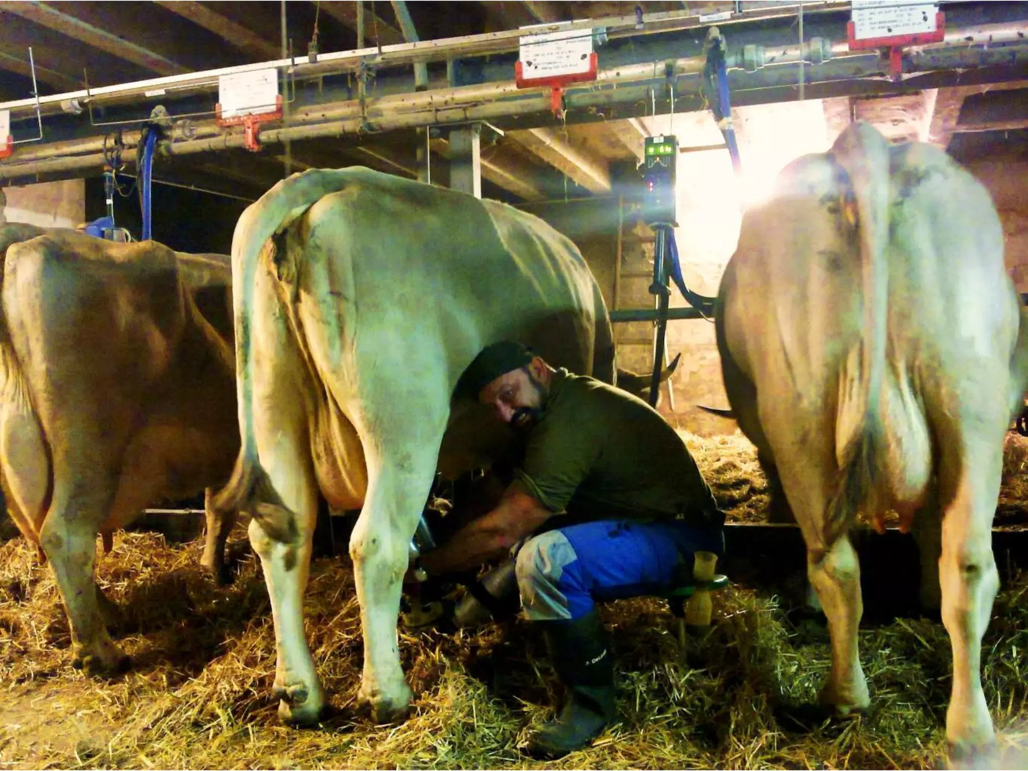 Build Graph
Job Name Job Name Job Name
Job Name Job Name Job Name
Job Name Job Name Job Name
 