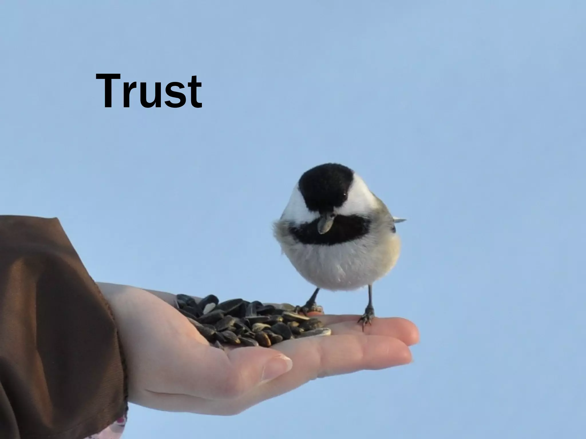 Trust 