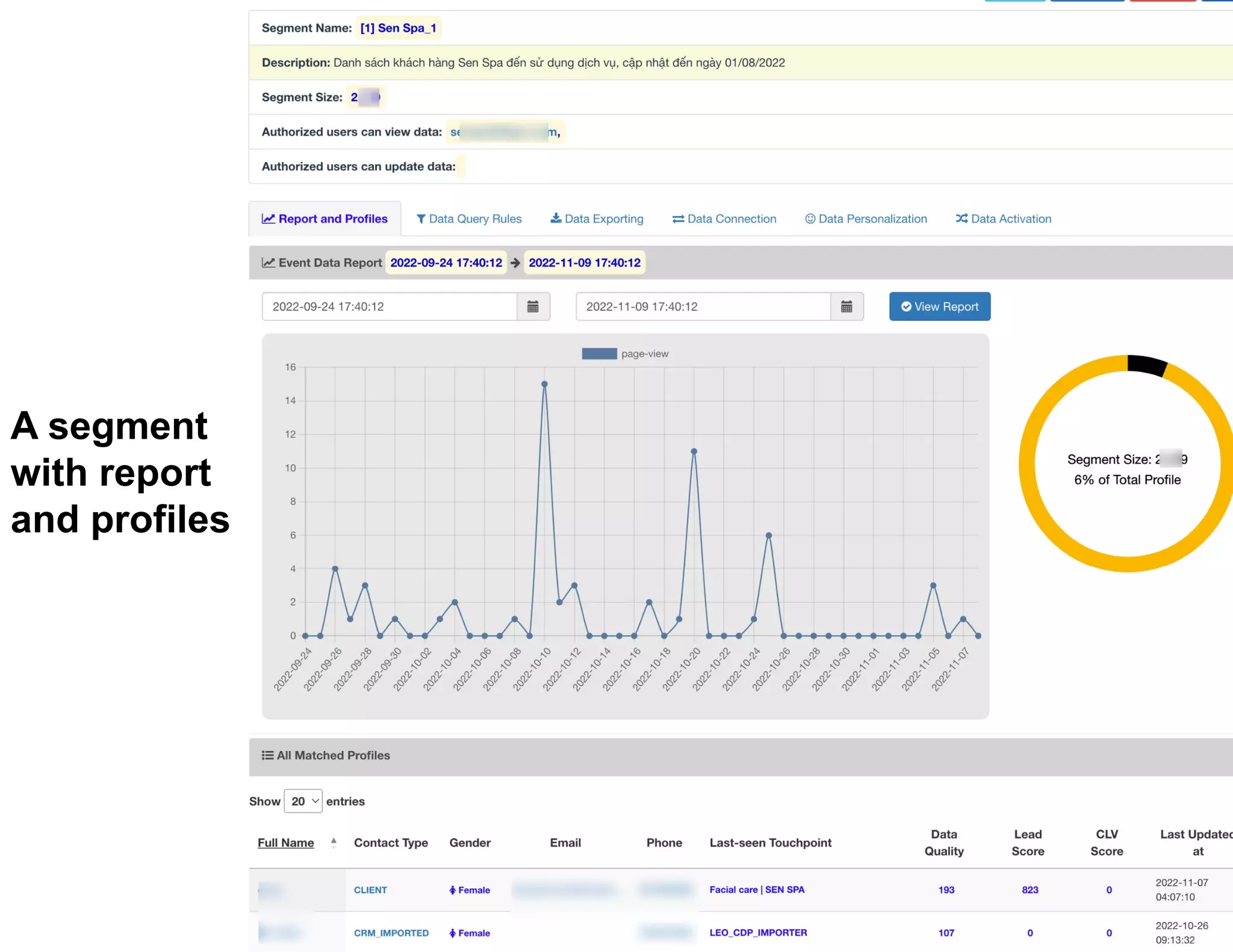 A segment
with report
and profiles
 