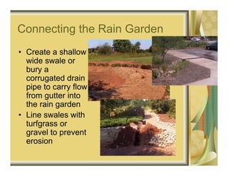 Connecting the Rain Garden
• Create a shallow
  wide swale or
  bury a
  corrugated drain
  pipe to carry flow
  from gutter into
  the rain garden
• Line swales with
  turfgrass or
  gravel to prevent
  erosion
 