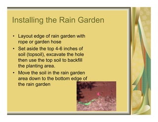 Installing the Rain Garden
• Layout edge of rain garden with
  rope or garden hose
• Set aside the top 4-6 inches of
  soil (topsoil), excavate the hole
  then use the top soil to backfill
  the planting area.
• Move the soil in the rain garden
  area down to the bottom edge of
  the rain garden
 
