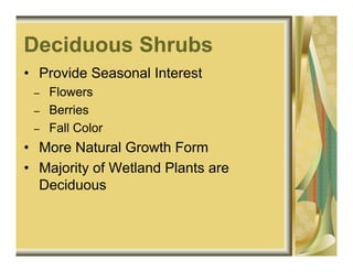 Deciduous Shrubs
• Provide Seasonal Interest
 –   Flowers
 –   Berries
 –   Fall Color
• More Natural Growth Form
• Majority of Wetland Plants are
  Deciduous
 