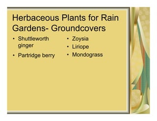Herbaceous Plants for Rain
Gardens- Groundcovers
• Shuttleworth      • Zoysia
  ginger            • Liriope
• Partridge berry   • Mondograss
 