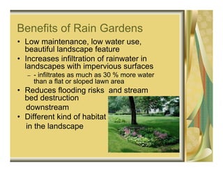 Benefits of Rain Gardens
• Low maintenance, low water use,
  beautiful landscape feature
• Increases infiltration of rainwater in
  landscapes with impervious surfaces
  –   - infiltrates as much as 30 % more water
      than a flat or sloped lawn area
• Reduces flooding risks and stream
  bed destruction
  downstream
• Different kind of habitat
  in the landscape
 