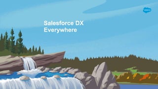 Salesforce DX
Everywhere
 