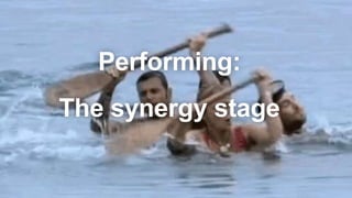 Performing:
The synergy stage
 