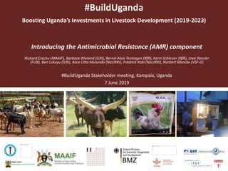 #BuildUganda
Boosting Uganda’s Investments in Livestock Development (2019-2023)
Introducing the Antimicrobial Resistance (AMR) component
Richard Erechu (MAAIF), Barbara Wieland (ILRI), Bernd-Alois Tenhagen (BfR), Karin Schlesier (BfR), Uwe Roesler
(FUB), Ben Lukuyu (ILRI), Alice Litta-Mulundo (NaLIRRI), Fredrick Kabi (NaLIRRI), Norbert Mencke (VSF-G)
#BuildUganda Stakeholder meeting, Kampala, Uganda
7 June 2019
 