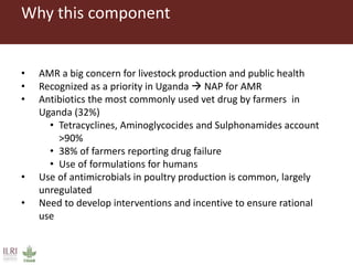 Boosting Uganda’s Investments in Livestock Development (2019-2023): Introducing the Antimicrobial Resistance (AMR) component 