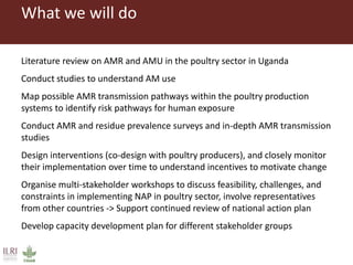 Boosting Uganda’s Investments in Livestock Development (2019-2023): Introducing the Antimicrobial Resistance (AMR) component 