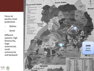 Boosting Uganda’s Investments in Livestock Development (2019-2023): Introducing the Antimicrobial Resistance (AMR) component 