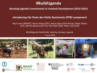 #BuildUganda
Boosting Uganda’s Investments in Livestock Development (2019-2023)
Introducing the Peste des Petits Ruminants (PPR) component
Paul Lumu (MAAIF), Henry Kiara (ILRI), Harry Oyas (DVS Kenya), Klaas Dietze
(FLI), Martin Barasa (VSF-G), Karl Rich (ILRI), Peter Lule (ILRI)
#BuildUganda Stakeholder meeting, Kampala, Uganda
7 June 2019
 