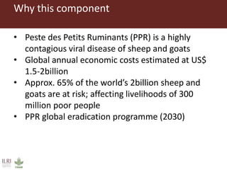 Boosting Uganda’s Investments in Livestock Development (2019-2023): Introducing the Peste des Petits Ruminants (PPR) component 