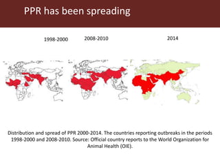 Boosting Uganda’s Investments in Livestock Development (2019-2023): Introducing the Peste des Petits Ruminants (PPR) component 