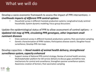 Boosting Uganda’s Investments in Livestock Development (2019-2023): Introducing the Peste des Petits Ruminants (PPR) component 
